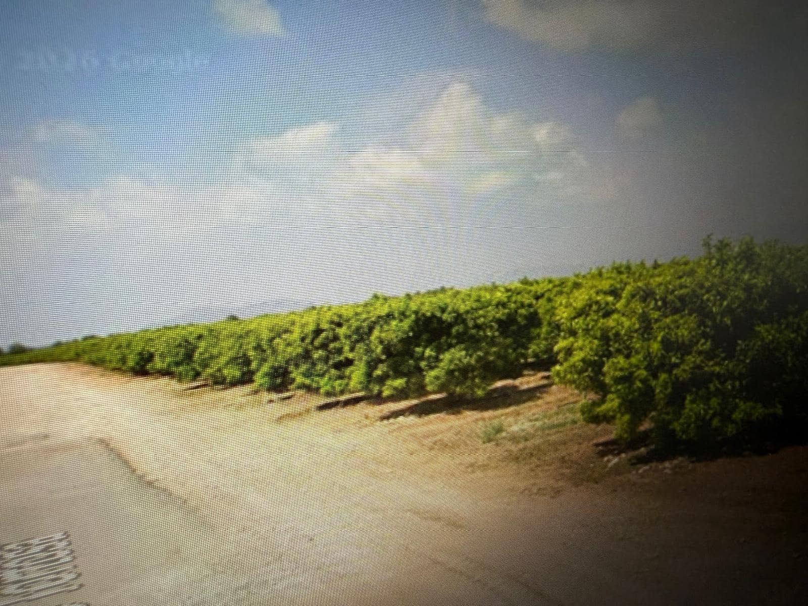 Undeveloped Land for sale in Traiguera - € 363,000 (Ref: 10180669)