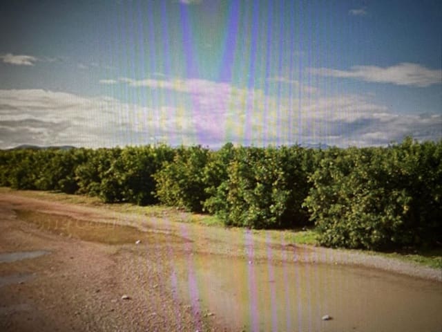Undeveloped Land for sale in Traiguera - € 363,000 (Ref: 10180669)
