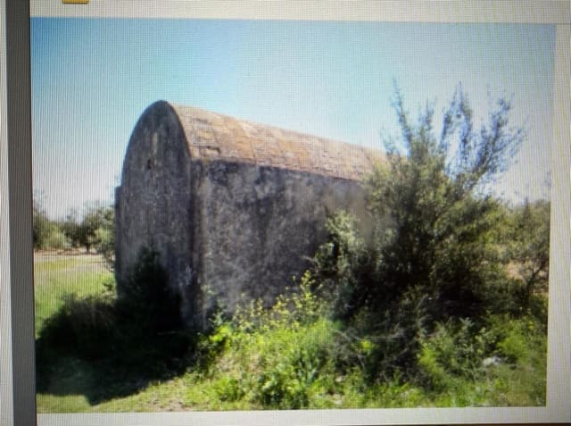 Undeveloped Land for sale in Traiguera - € 363,000 (Ref: 10180669)