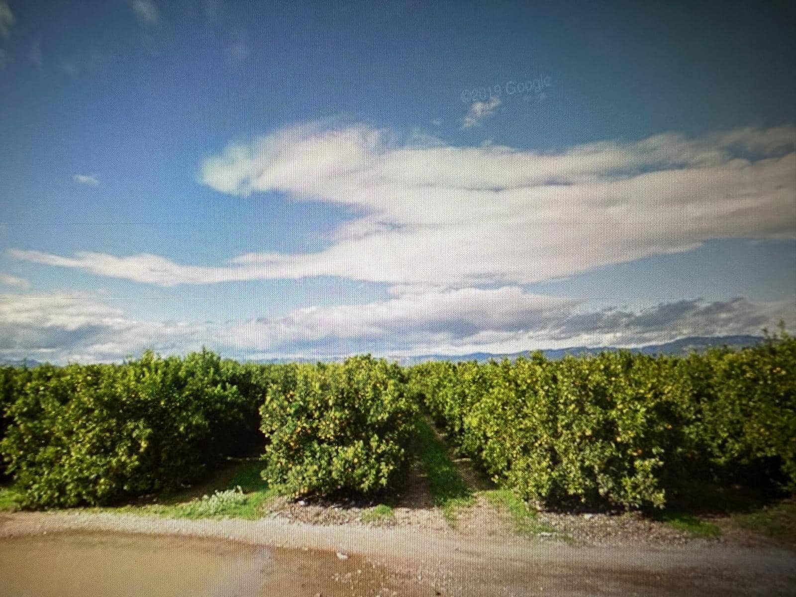 Undeveloped Land for sale in Traiguera - € 363,000 (Ref: 10180669)