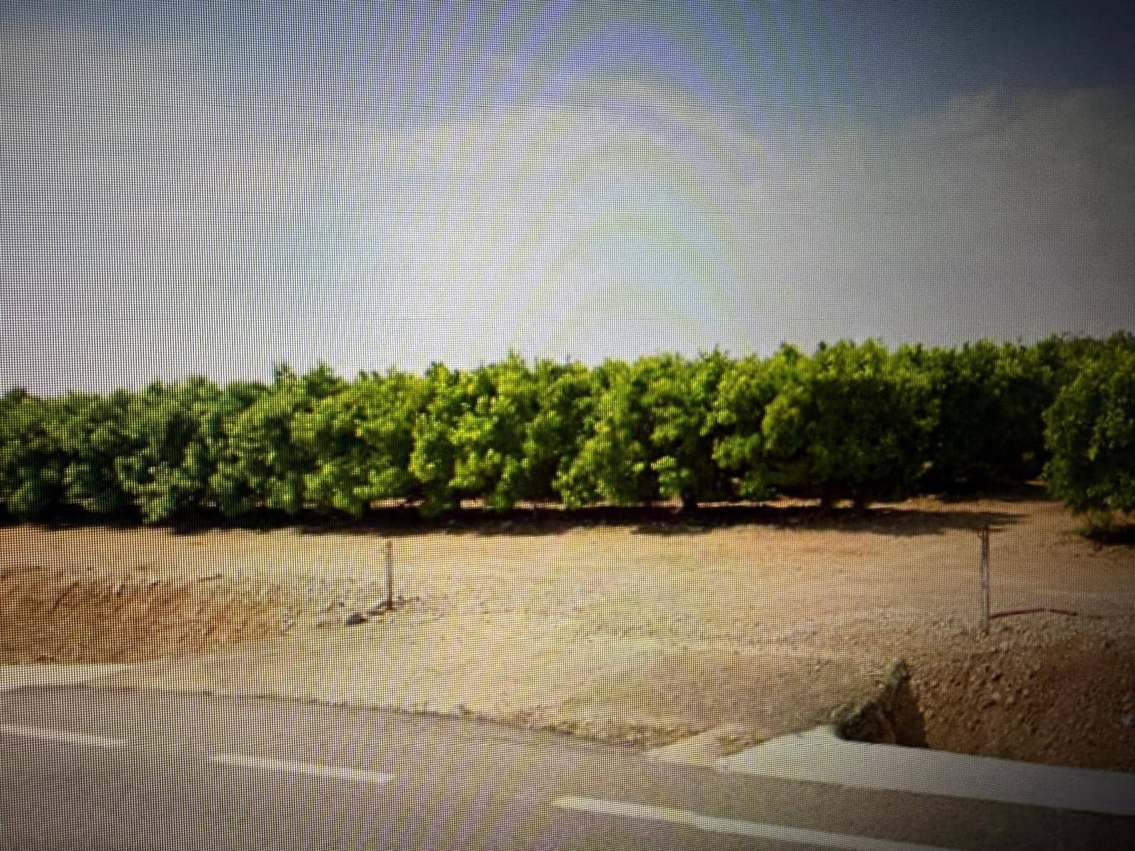 Undeveloped Land for sale in Traiguera - € 363,000 (Ref: 10180669)