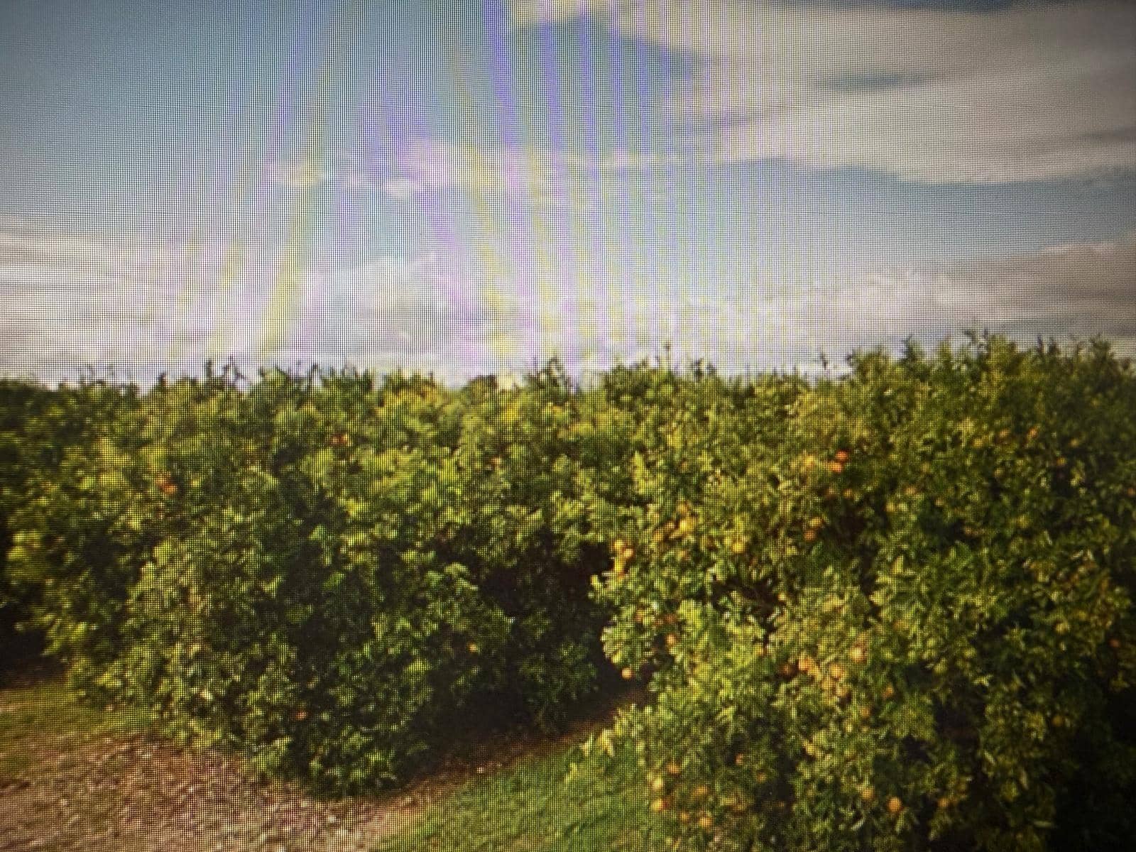 Undeveloped Land for sale in Traiguera - € 363,000 (Ref: 10180669)
