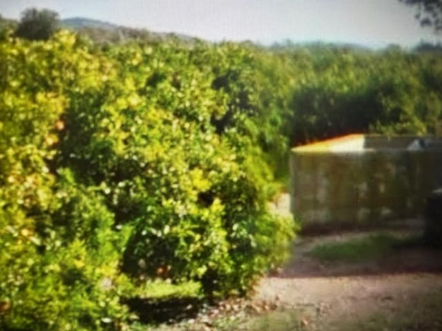 Undeveloped Land for sale in Traiguera - € 363,000 (Ref: 10180669)