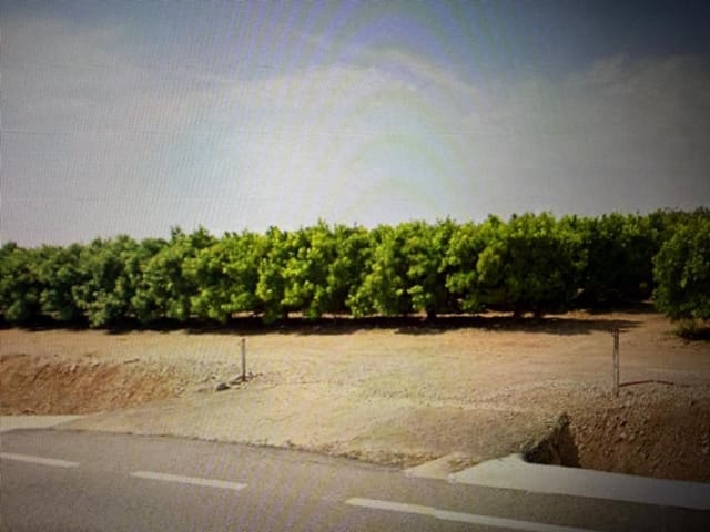 Undeveloped Land for sale in Traiguera - € 363,000 (Ref: 10180669)