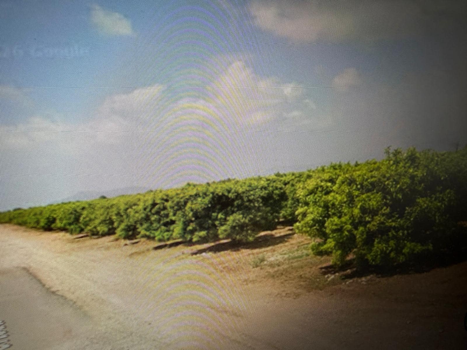 Undeveloped Land for sale in Traiguera - € 363,000 (Ref: 10180669)