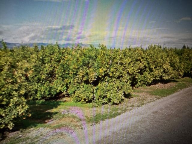 Undeveloped Land for sale in Traiguera - € 363,000 (Ref: 10180669)