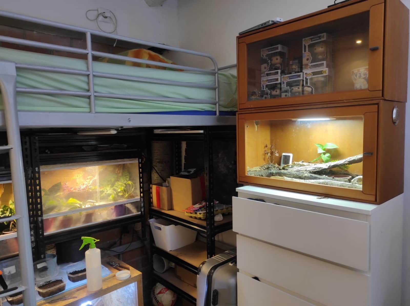 5 sovrum Hus till salu i Tortosa - 130 000 € (Ref: 10181088)