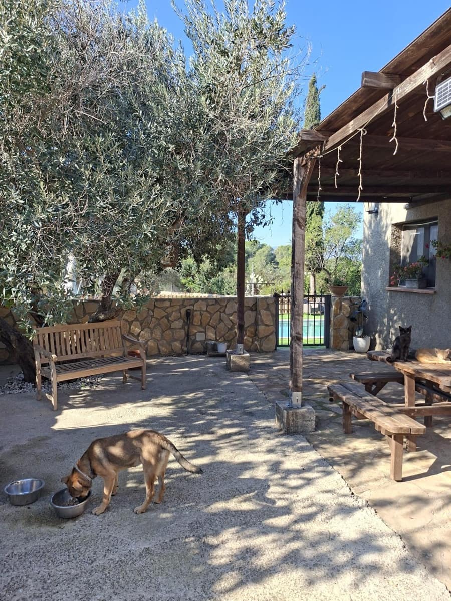 4 soveværelse Finca/Landehus til salg i Santa Barbara med swimmingpool - € 360.000 (Ref: 10183188)