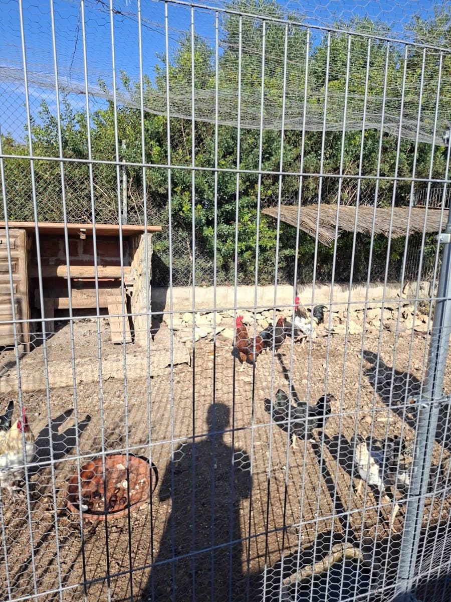 4 soveværelse Finca/Landehus til salg i Santa Barbara med swimmingpool - € 360.000 (Ref: 10183188)