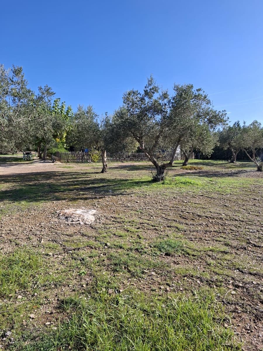 4 soveværelse Finca/Landehus til salg i Santa Barbara med swimmingpool - € 360.000 (Ref: 10183188)