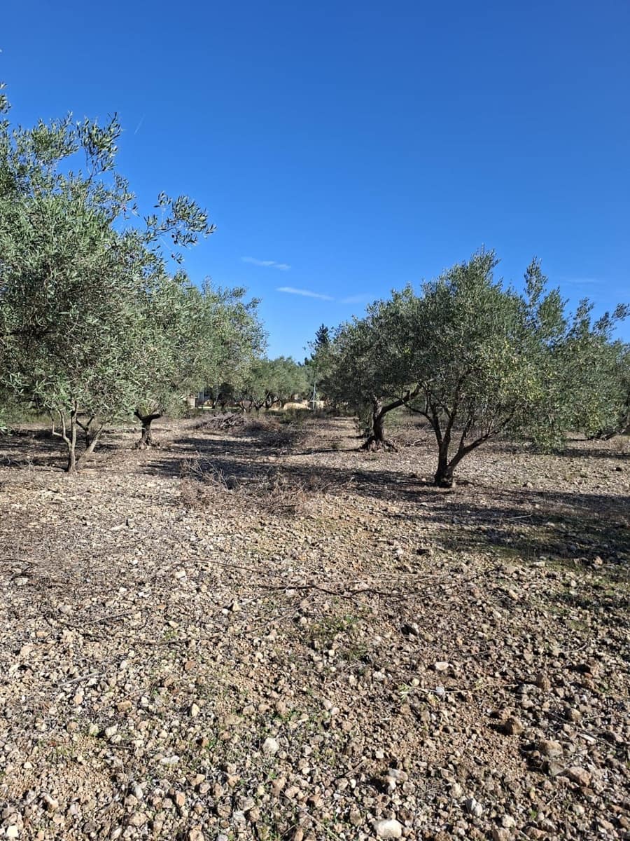 4 soveværelse Finca/Landehus til salg i Santa Barbara med swimmingpool - € 360.000 (Ref: 10183188)