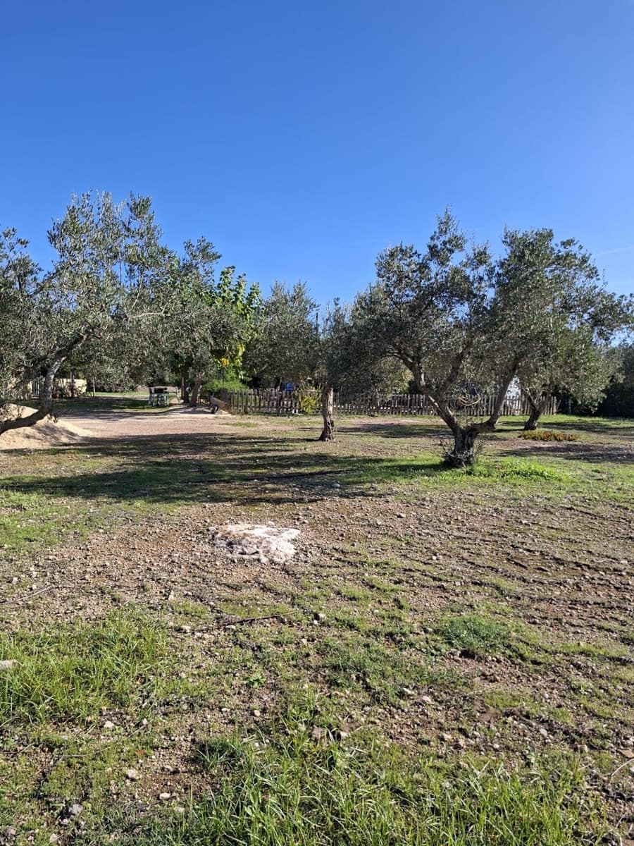4 soveværelse Finca/Landehus til salg i Santa Barbara med swimmingpool - € 360.000 (Ref: 10183188)