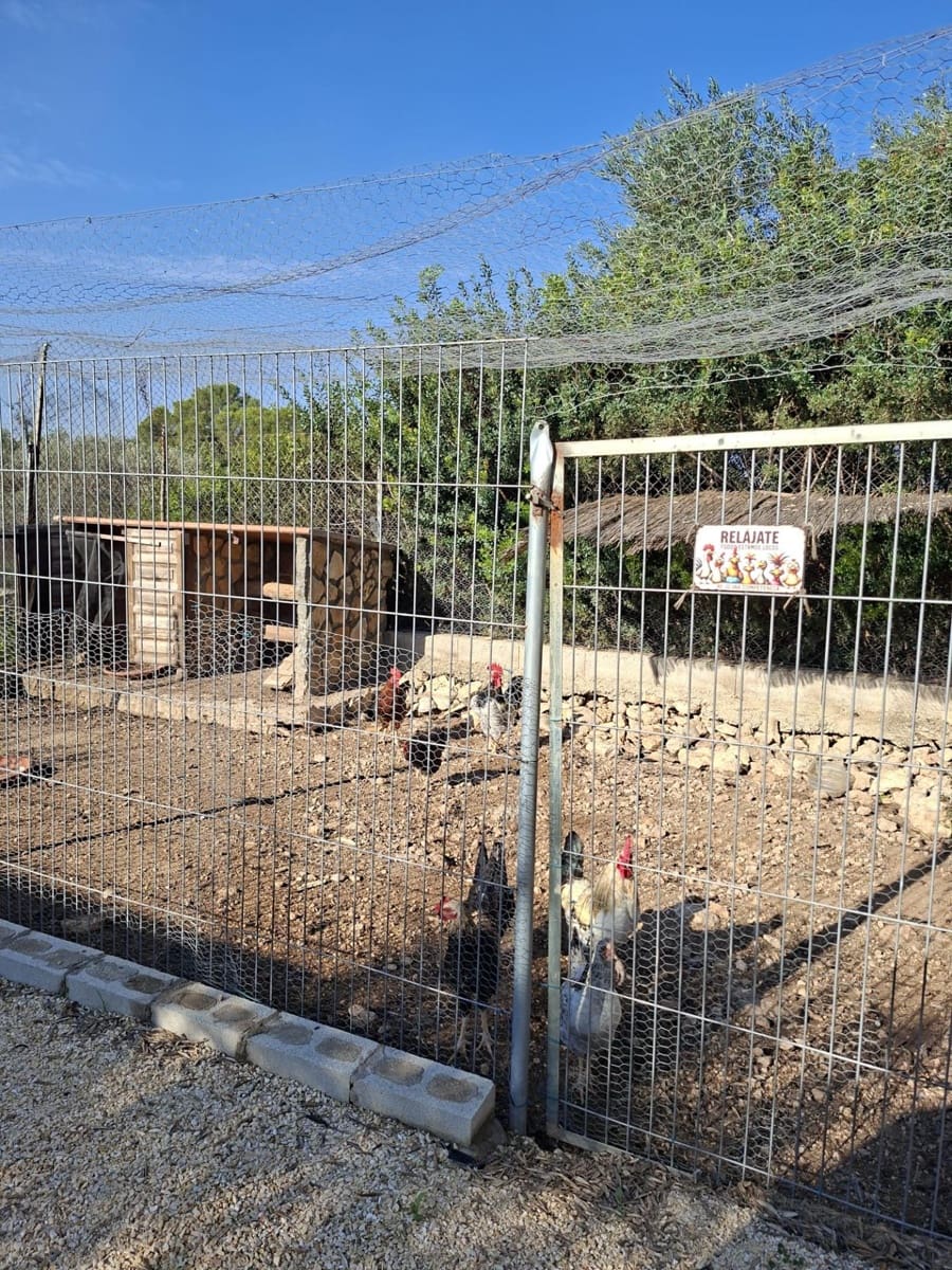 4 soveværelse Finca/Landehus til salg i Santa Barbara med swimmingpool - € 360.000 (Ref: 10183188)
