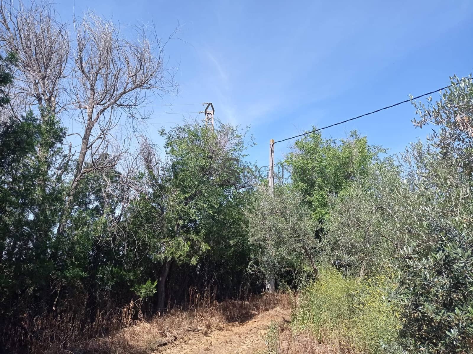 Teren niezagospodarowany na sprzedaż w Alcala de Guadaira - 360 000 € (Ref: 10111987)