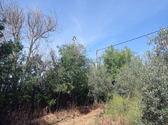 Teren niezagospodarowany na sprzedaż w Alcalá de Guadaira - 360 000 € (Ref: 10111987)