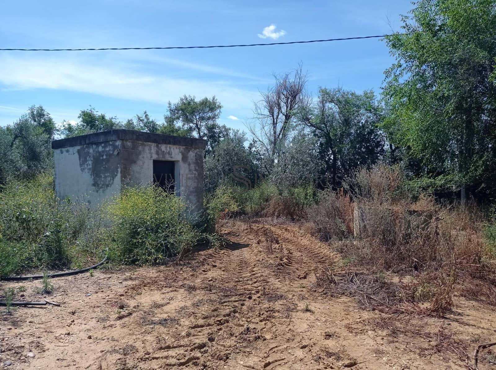 Teren niezagospodarowany na sprzedaż w Alcala de Guadaira - 360 000 € (Ref: 10111987)