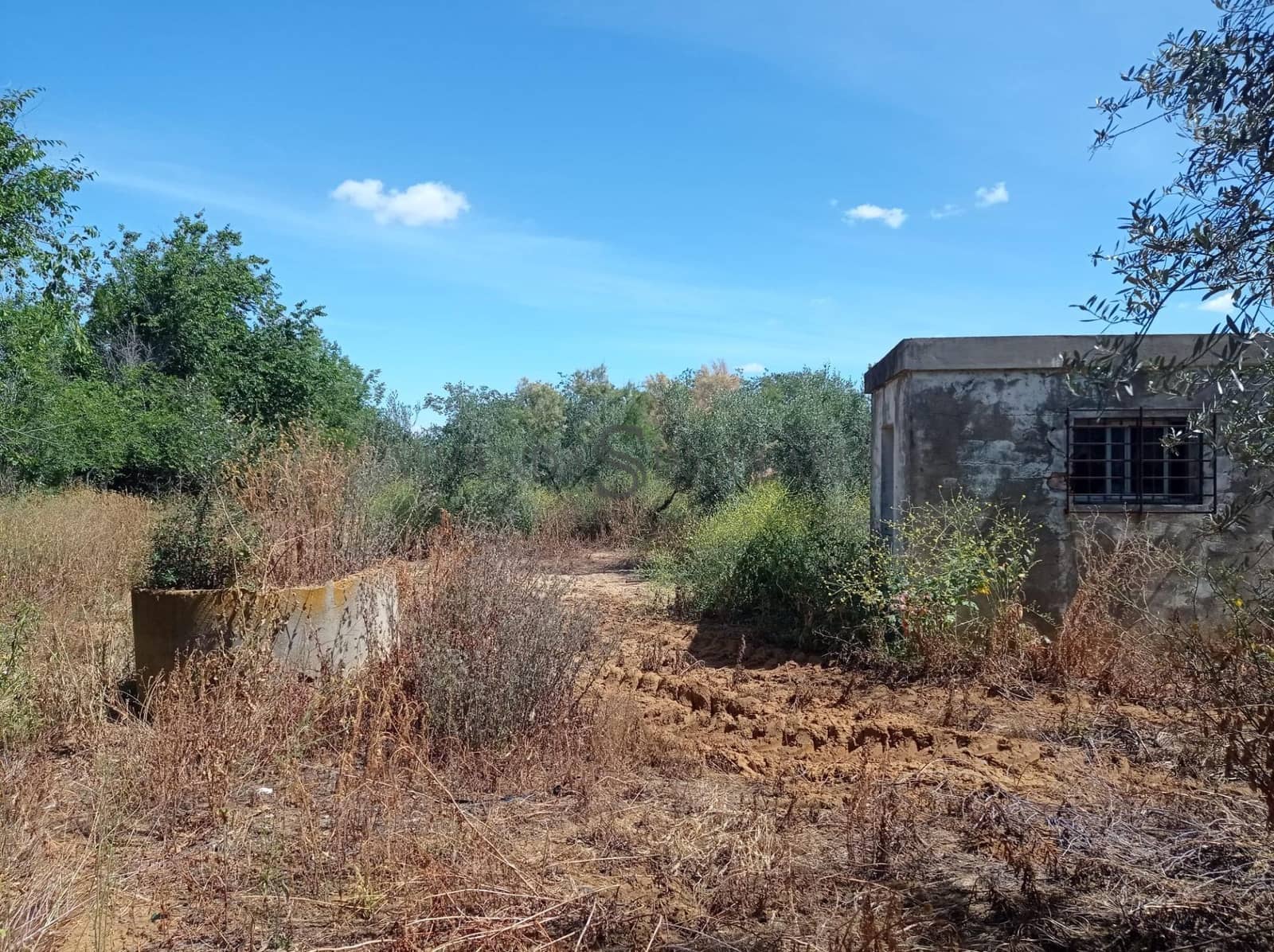 Teren niezagospodarowany na sprzedaż w Alcala de Guadaira - 360 000 € (Ref: 10111987)
