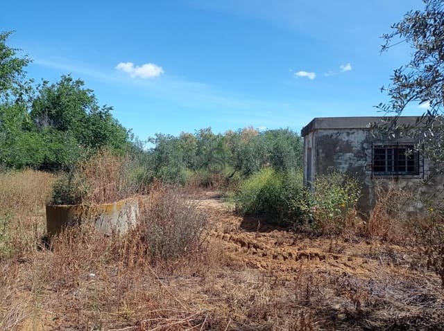 Teren niezagospodarowany na sprzedaż w Alcalá de Guadaira - 360 000 € (Ref: 10111987)