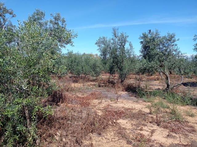 Teren niezagospodarowany na sprzedaż w Alcalá de Guadaira - 360 000 € (Ref: 10111987)