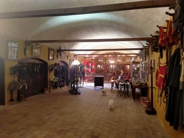 4 sovrum Finca/Hus på landet till salu i Alcalá de Guadaira med pool garage - 3 800 000 € (Ref: 10111992)