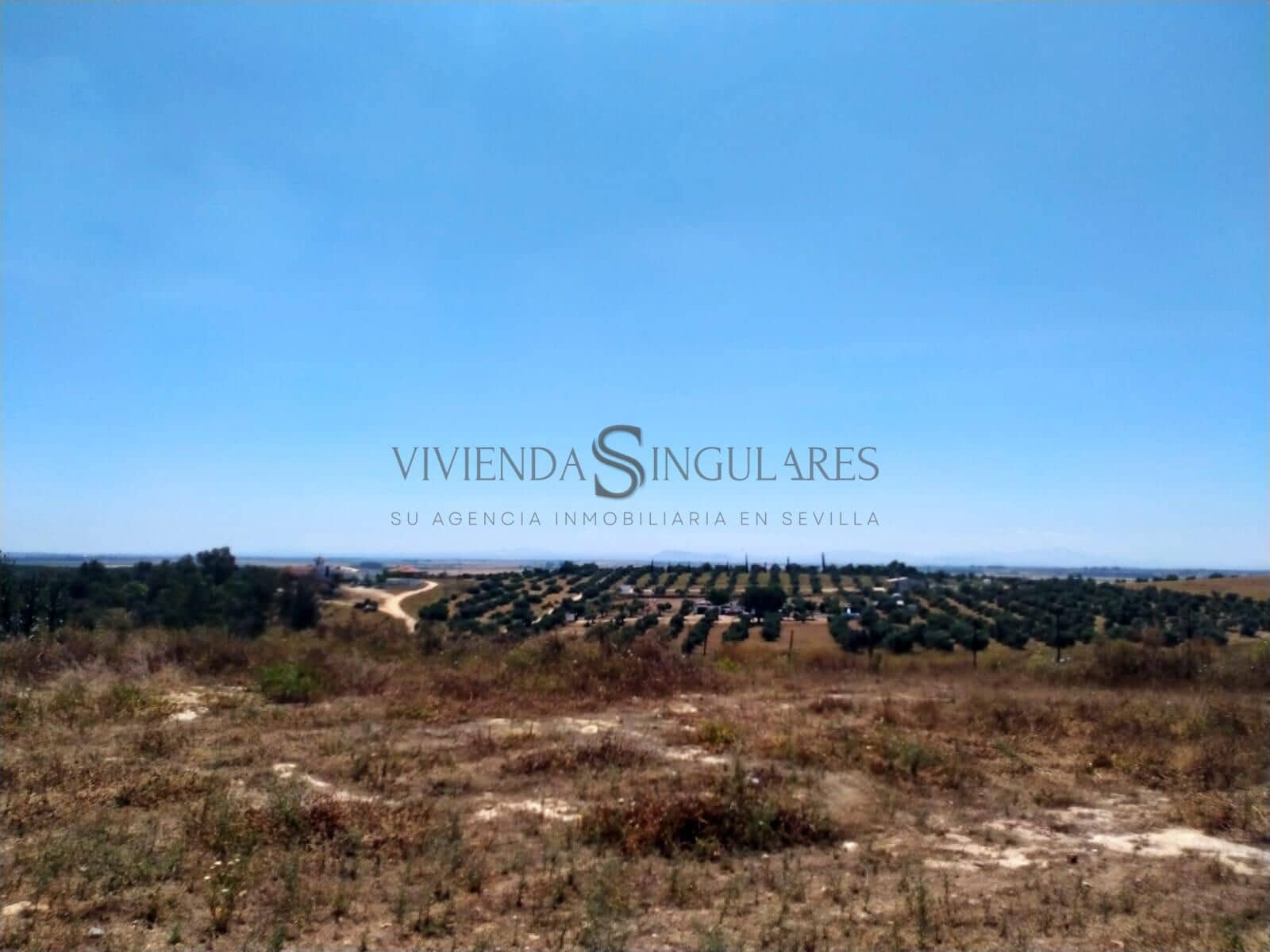 4 sovrum Finca/Hus på landet till salu i Alcala de Guadaira med pool garage - 3 800 000 € (Ref: 10111992)