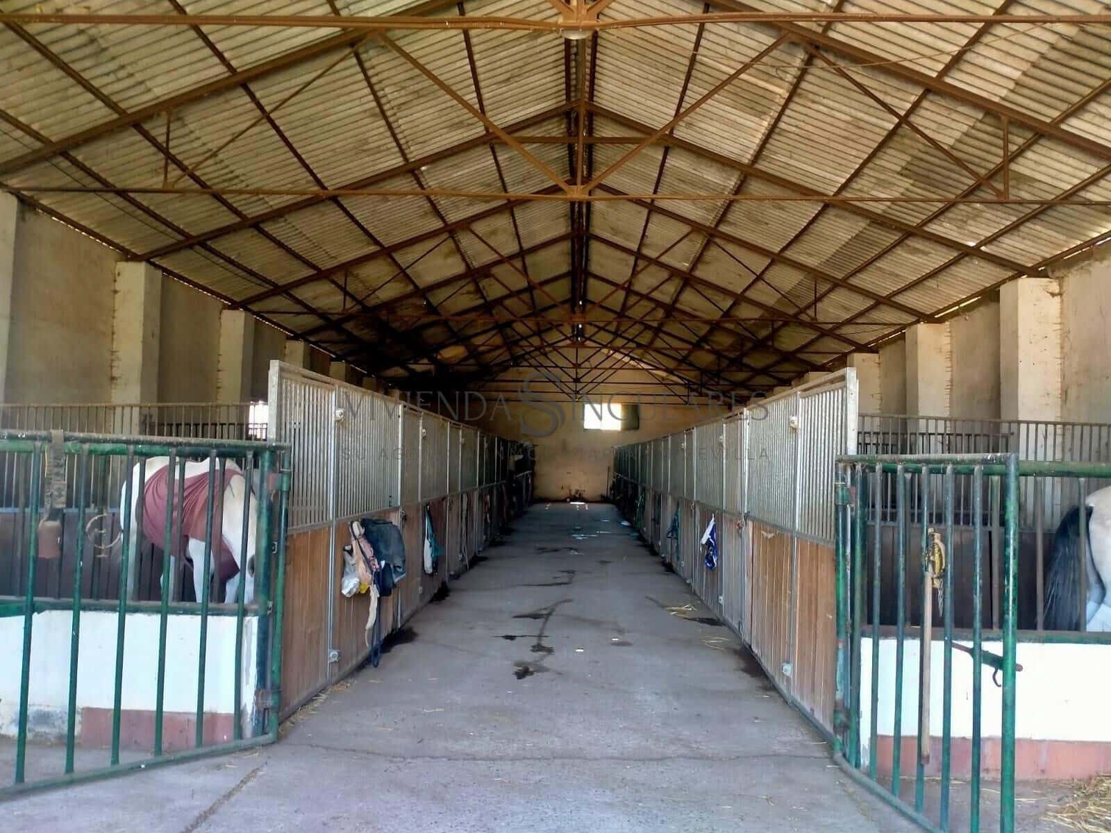 4 sovrum Finca/Hus på landet till salu i Alcala de Guadaira med pool garage - 3 800 000 € (Ref: 10111992)