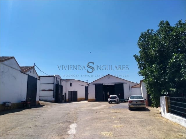 4 sovrum Finca/Hus på landet till salu i Alcalá de Guadaira med pool garage - 3 800 000 € (Ref: 10111992)