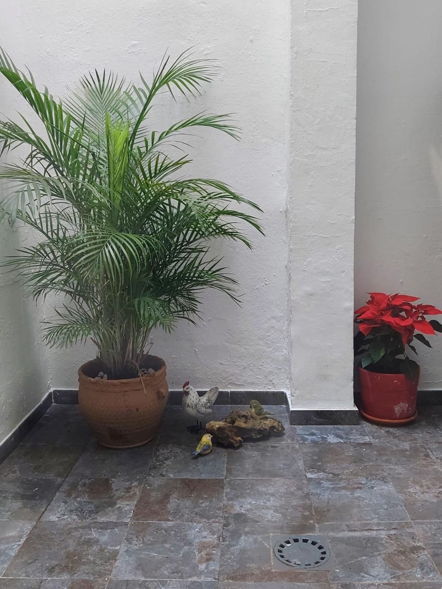 3 slaapkamer Commercieel te koop in Sevilla stad - € 268.000 (Ref: 10177212)