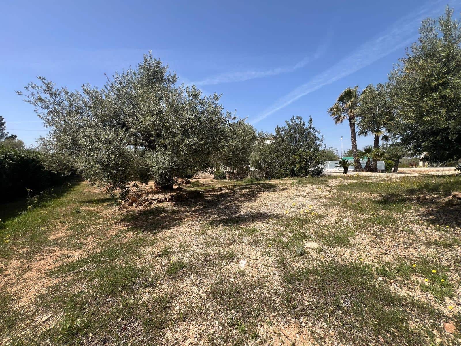 3 bedroom Finca/Country House for sale in L'Ampolla with pool garage - € 429,000 (Ref: 10041389)