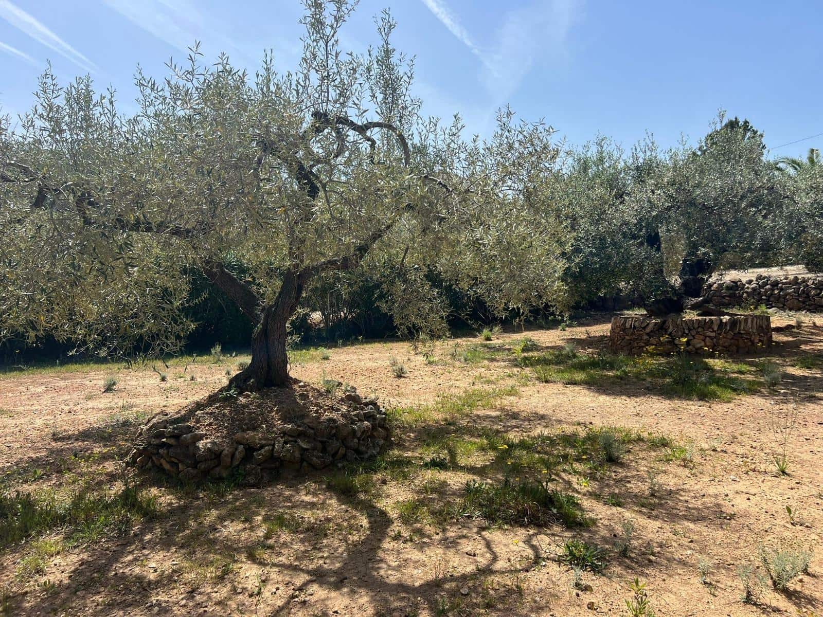 3 bedroom Finca/Country House for sale in L'Ampolla with pool garage - € 429,000 (Ref: 10041389)