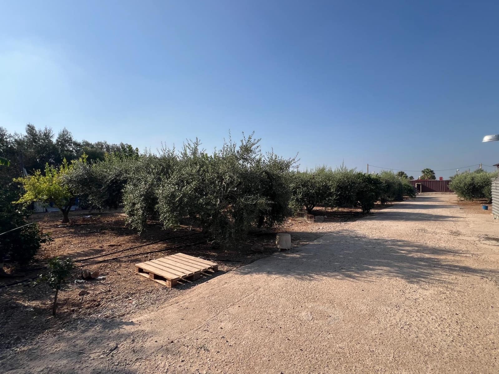 5 sovrum Finca/Hus på landet till salu i Alcanar med pool garage - 190 000 € (Ref: 10041394)
