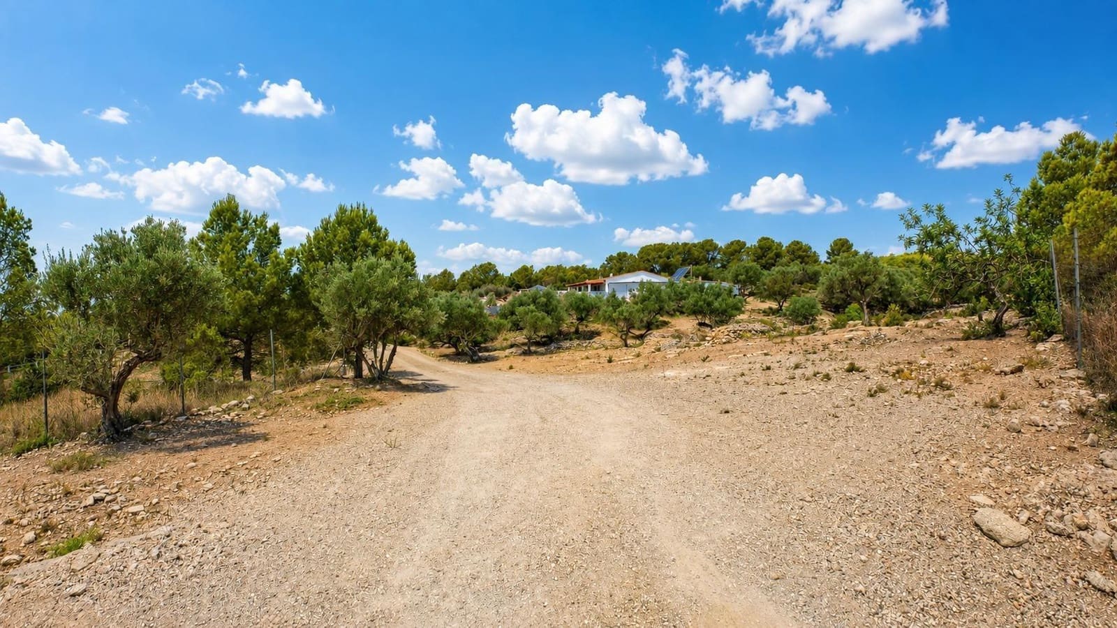 4 quarto Quinta/Casa Rural para venda em El Perello com piscina garagem - 640 000 € (Ref: 10072590)