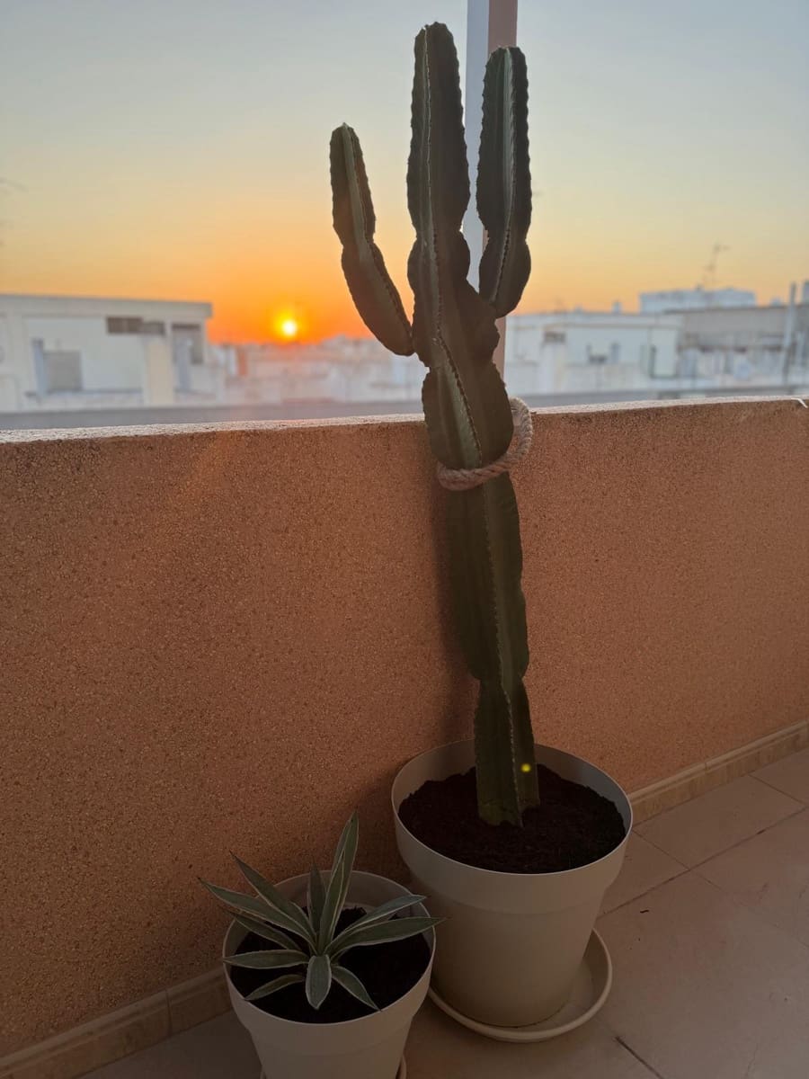 3 sovrum Takvåning till salu i Torrevieja med pool garage - 229 000 € (Ref: 10037712)