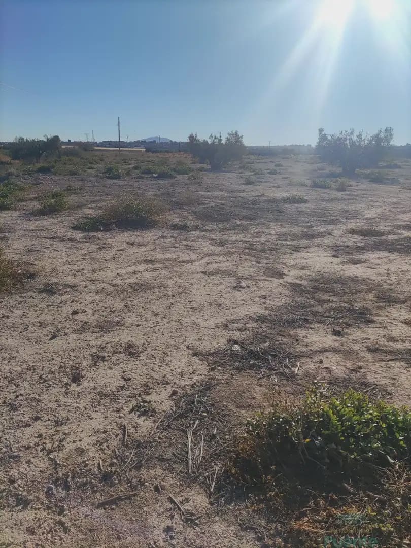 Building Plot for sale in El Pareton - € 85,000 (Ref: 10045568)