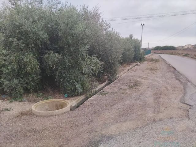 Terrain à Bâtir à vendre à Totana - 35 000 € (Ref: 10045571)