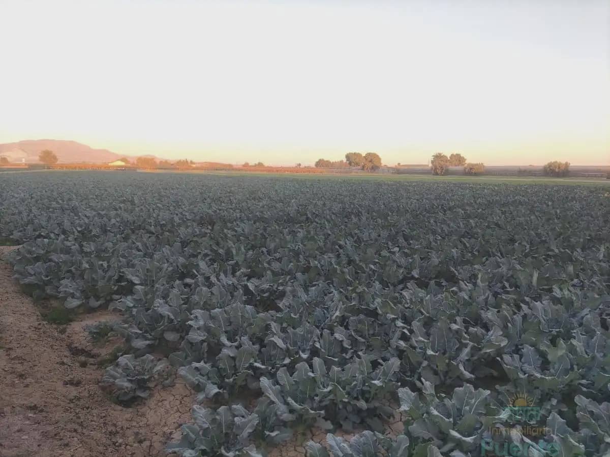 Building Plot for sale in Totana - € 45,000 (Ref: 10045572)