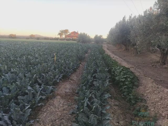 Building Plot for sale in Totana - € 45,000 (Ref: 10045572)