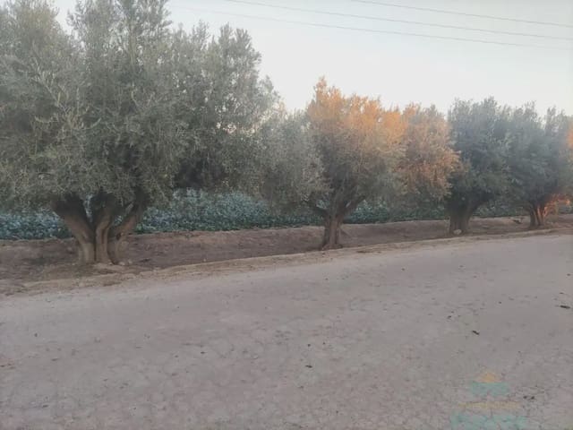 Building Plot for sale in Totana - € 45,000 (Ref: 10045572)