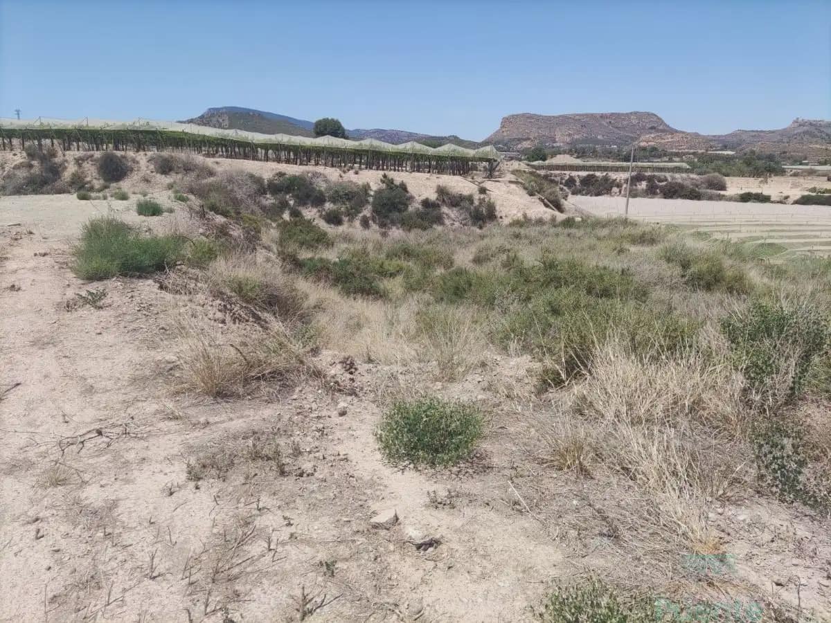 Terrain à Bâtir à vendre à Totana - 36 000 € (Ref: 10045581)