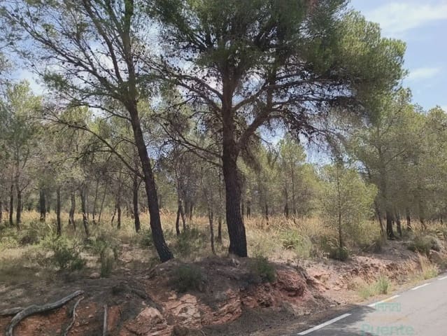 Building Plot for sale in Totana - € 40,000 (Ref: 10045586)