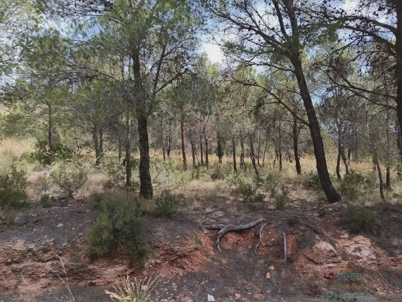 Terrain à Bâtir à vendre à Totana - 40 000 € (Ref: 10045586)
