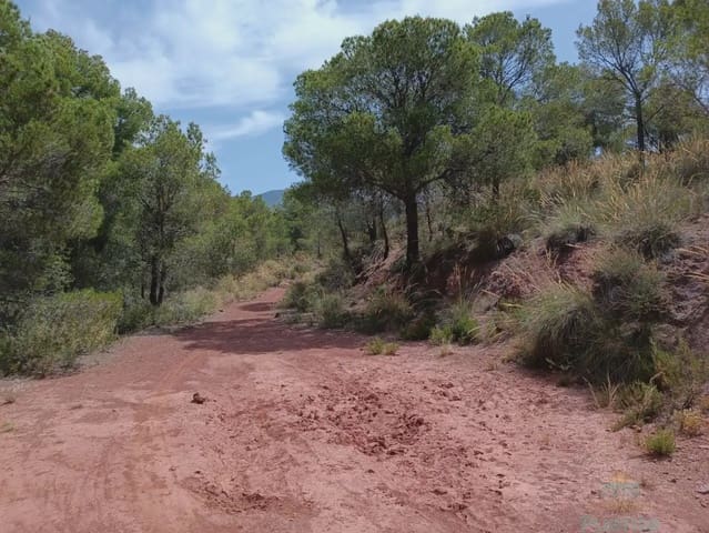 Building Plot for sale in Totana - € 40,000 (Ref: 10045586)