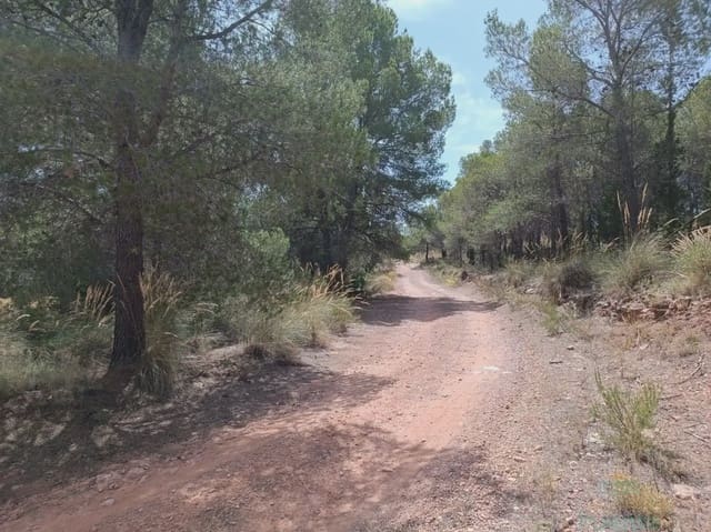 Building Plot for sale in Totana - € 60,000 (Ref: 10045587)