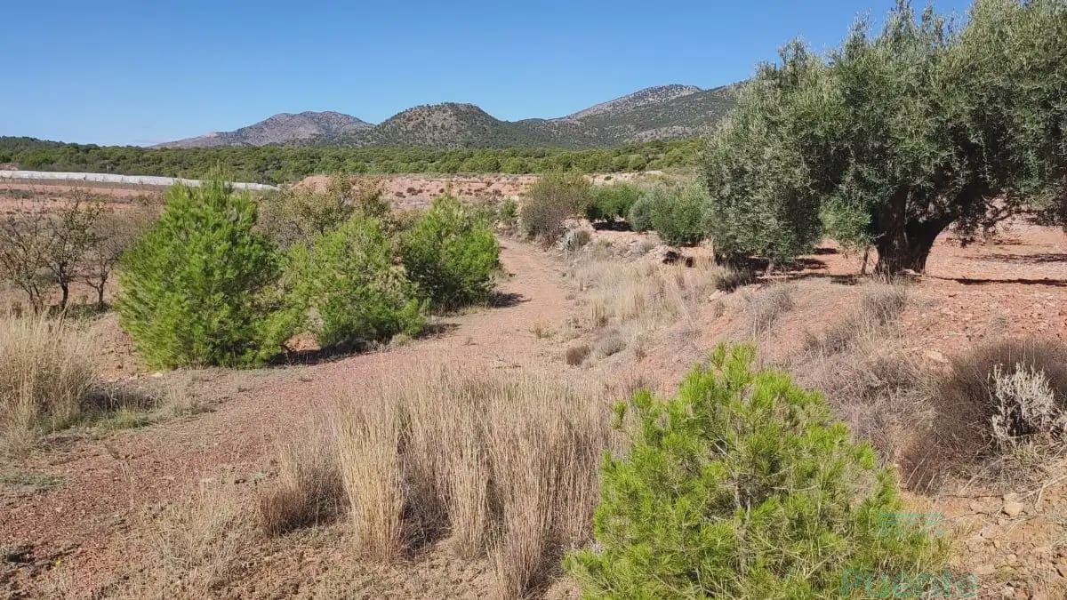 1 bedroom Finca/Country House for sale in Totana - € 55,000 (Ref: 10045591)