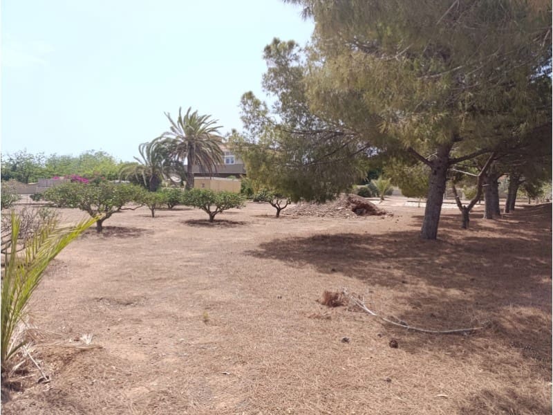 3 soverom Finca/Herregård til salgs i El Beal - € 390 000 (Ref: 10045394)