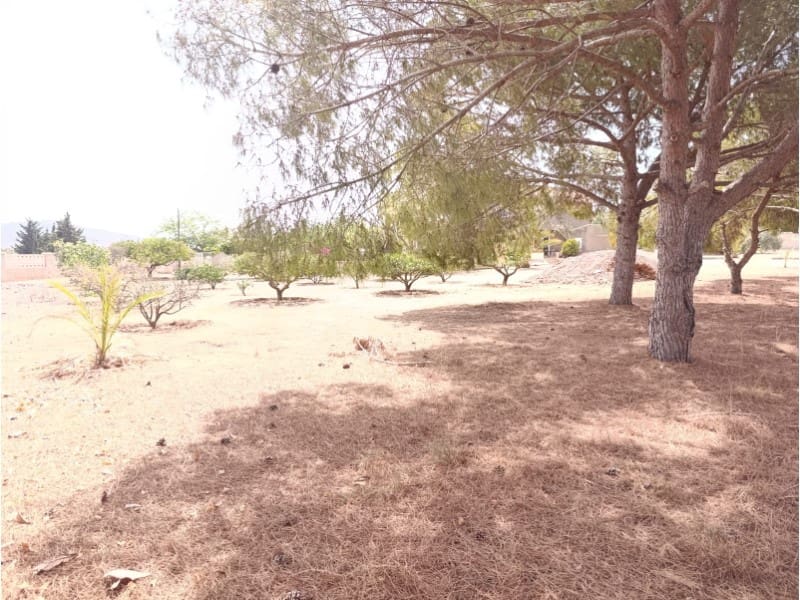3 soverom Finca/Herregård til salgs i El Beal - € 390 000 (Ref: 10045394)
