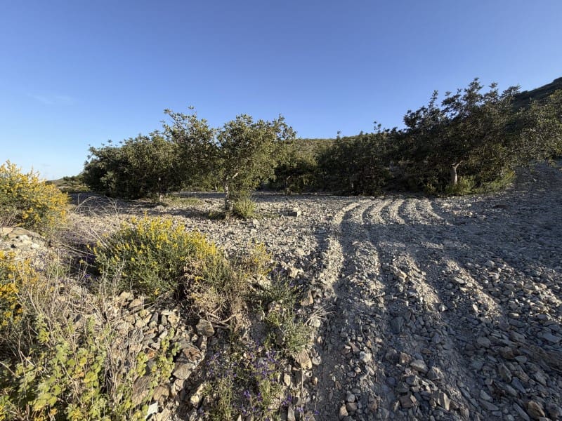 Quinta/Casa Rural para venda em Cartagena - 154 500 € (Ref: 10045398)