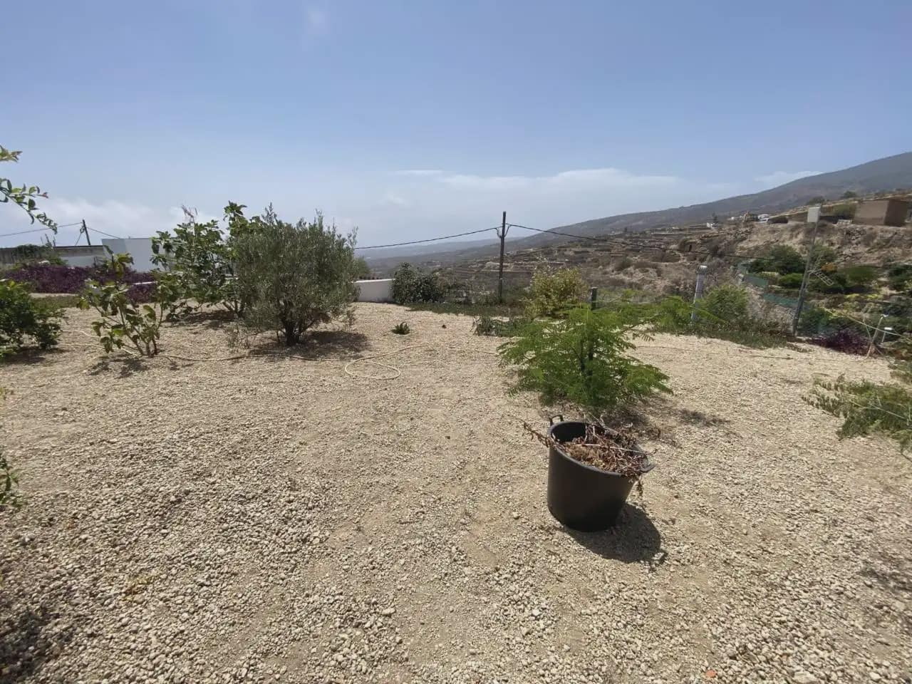 Finca/Casa Rural de 4 habitaciones en Fasnia en venta - 330.000 € (Ref: 10045322)