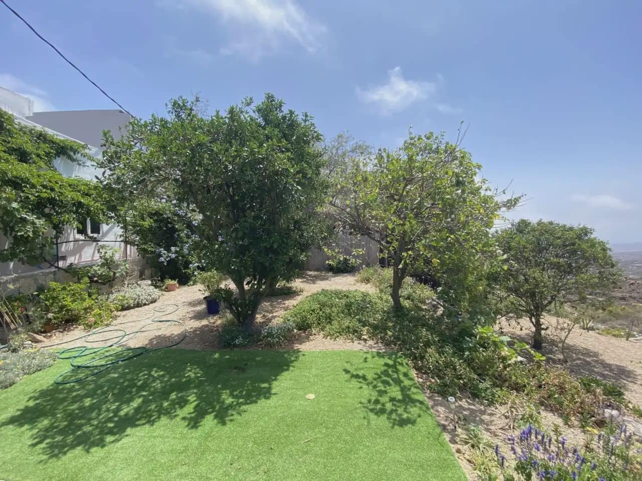 Finca/Casa Rural de 4 habitaciones en Fasnia en venta - 330.000 € (Ref: 10045322)