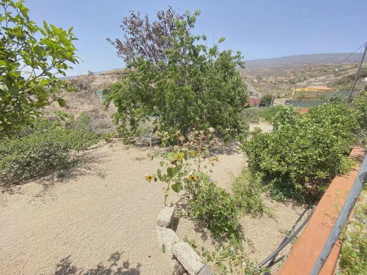 Finca/Casa Rural de 4 habitaciones en Fasnia en venta - 330.000 € (Ref: 10045322)